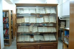 عکس شماره 2