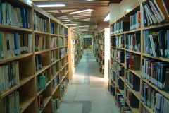 عکس شماره 3