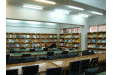 عکس شماره 6