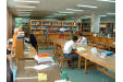 عکس شماره 10