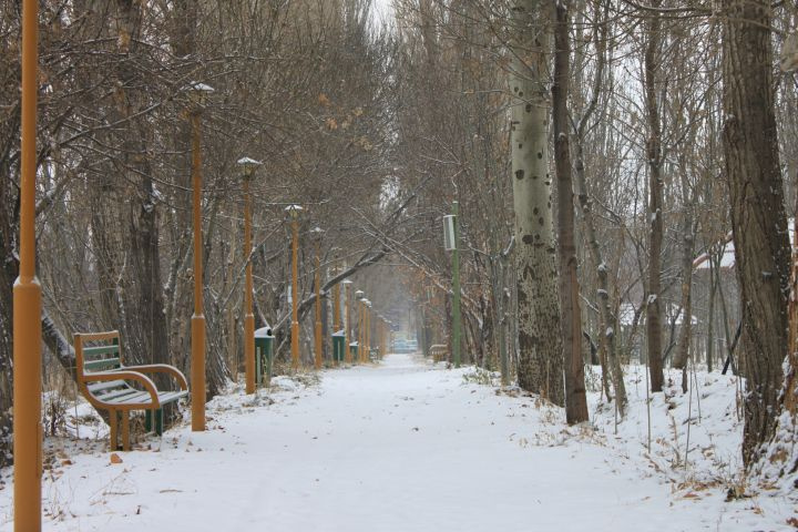 تصویرشماره13